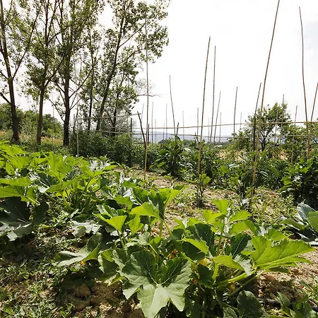 Tenuta La Santissima